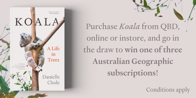 Buy Koala and Win 1 of 3 Australian Geographic Subscriptions!
