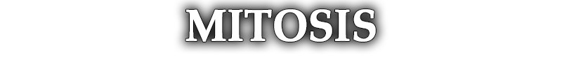 1.5 Mitosis