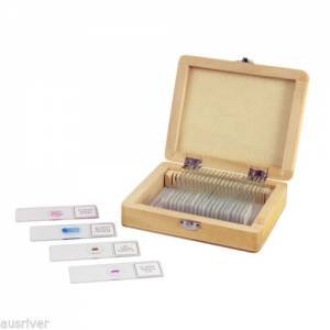 Celestron Prepared Slides - 25 piece box by Various