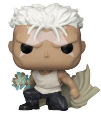 Fullmetal Alchemist Brotherhood  Scar Pop