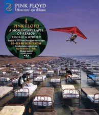 A Momentary Lapse Of Reason