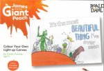 Colour Your Own LightUp Canvas James And The Giant Peach