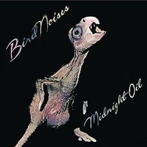 Bird Noises by Midnight Oil