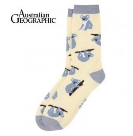 Australian Geographic: Koala Sock by Various