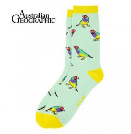 Australian Geographic: Gouldian Finch Sock by Various