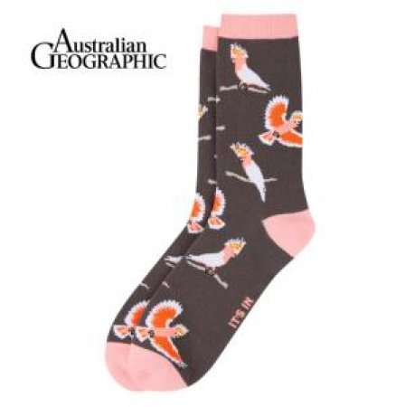 Australian Geographic: Pink Cockatoo Sock by Various