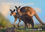 2019 Wildlife of Australia Compact Panorama Calendar