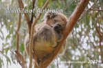 2022 Wildlife of Australia Desk Calendar
