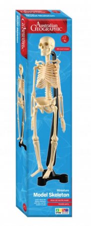 Australian Geographic: Human Mini Skeleton by Various