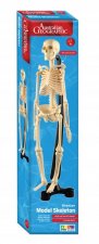 Australian Geographic Human Mini Skeleton
