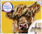 Paint By Numbers Canvas Highland Cow