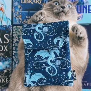 When The Moon Hatched e-Reader Sleeve: Small by Charlie and Fox & Sarah A. Parker