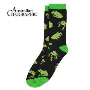 Australian Geographic: Green Tree Frog Sock by Various