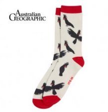 Australian Geographic Palm Cockatoo Sock