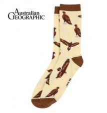 Australian Geographic WedgeTailed Eagle Sock