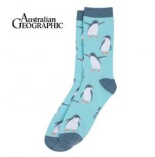Australian Geographic Fairy Penguin Sock