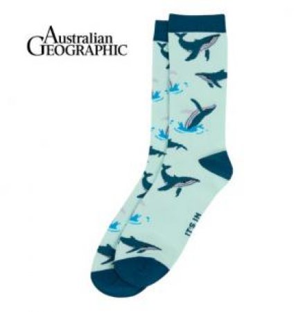 Australian Geographic: Humpback Whale Sock by Various