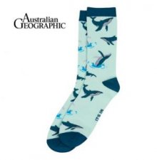 Australian Geographic Humpback Whale Sock