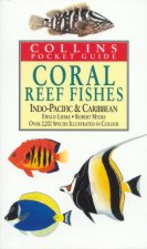 Coral Reef Fishes Of The World