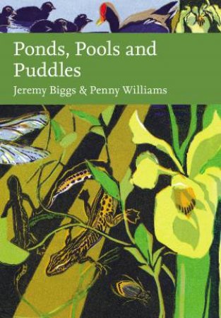 Ponds, Pools And Puddles by Jeremy Briggs
