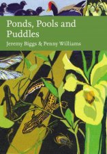 Ponds Pools And Puddles