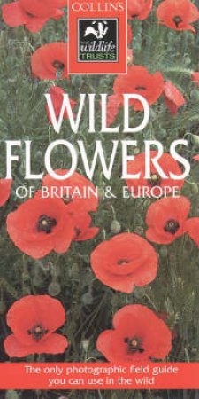 Collins Wildlife Trust Guide: Wild Flowers by Peter Heukels