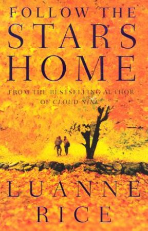 Follow The Stars Home by Luanne Rice