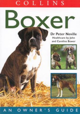 Boxer by Peter Neville