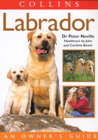 The Labrador: An Owner's Guide by Peter Neville