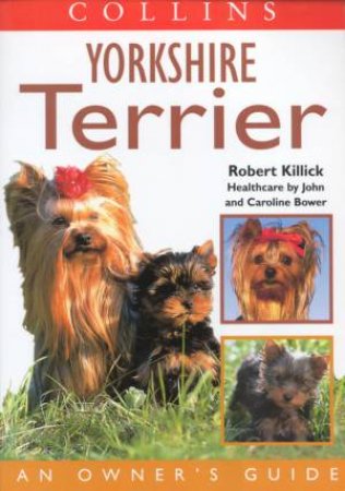 Yorkshire Terrier by Robert Killick