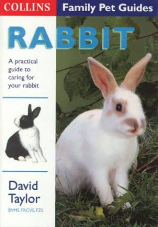 Collins Family Pets: Rabbit by David Taylor