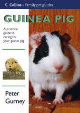 Collins Family Pets Guinea Pig