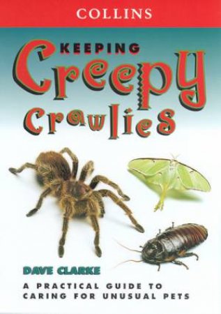 Collins Unusual Pets: Keeping Creepy Crawlies by Dave Clarke