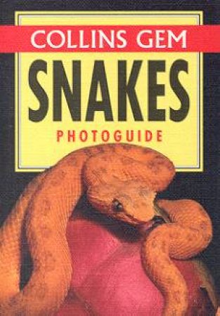 Collins Gem: Snakes Photoguide by Chris Mattison
