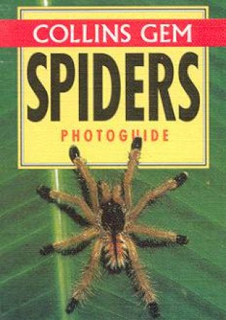 Collins Gem: Spiders Photoguide by Various