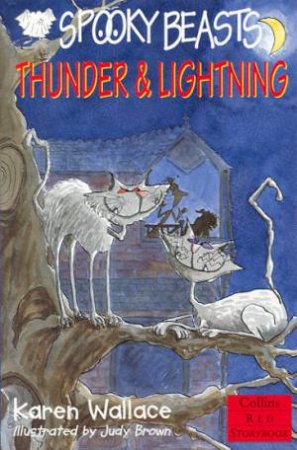 Collins Red Storybook: Thunder & Lightning by Karen Wallace