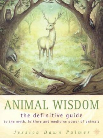 Animal Wisdom by Jessica Dawn Palmer