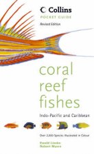 Pocket Guide Coral Reef Fishes