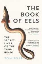 The Book Of Eels