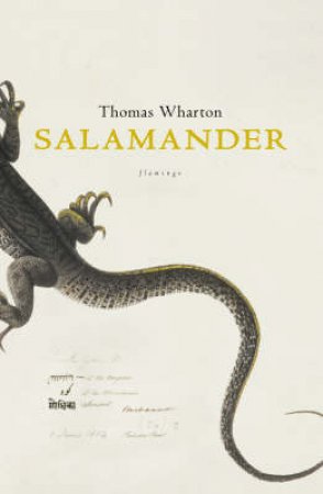 Salamander by Thomas Wharton