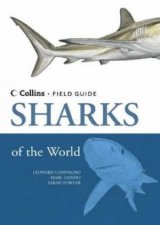 Collins Field Guide Sharks Of The World