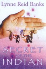 Secret Of The Indian