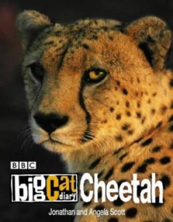 Big Cat Diary: Cheetah by Jonathan & Angela Scott