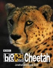 Big Cat Diary Cheetah