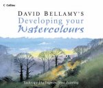 David Bellamys Developing Your Watercolours