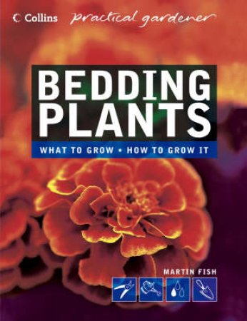 Collins Practical Gardener: Bedding Plants by Martin Fish