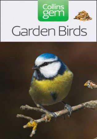 Gem Garden Birds by Moss  Stephen