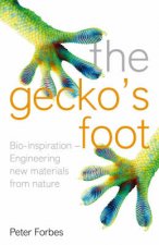 The Geckos Foot
