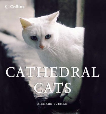 Cathedral Cats by Richard Surman