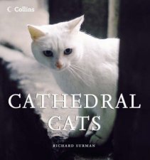 Cathedral Cats